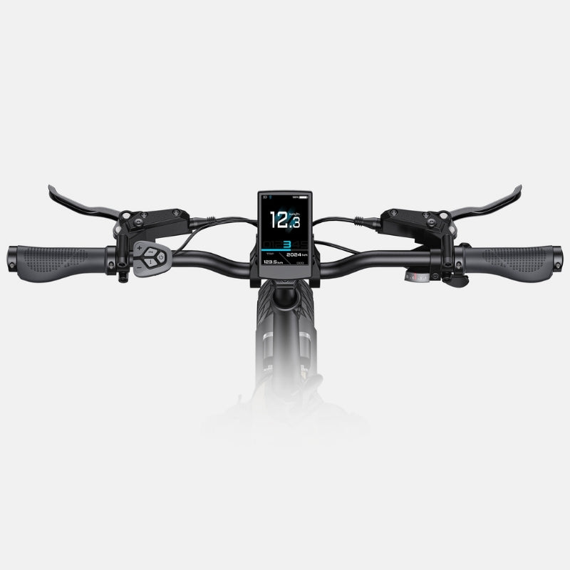 ENGWE L20 3.0 PRO MID-DRIVE FULL SUSPENSION FOLDING ELECTRIC BIKE 250W | 160KM LONG RANGE 100NM TORQUE - Charge & Glide