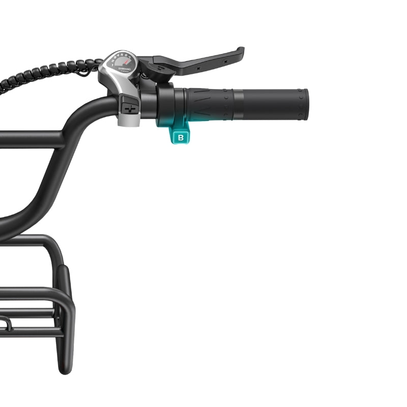 ENGWE L20 BOOST STEP THROUGH FAT TYRE CARGO ELECTRIC BIKE 250W - Charge & Glide