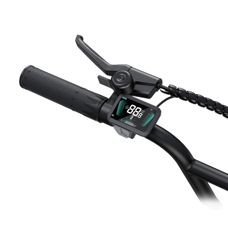 ENGWE L20 BOOST STEP THROUGH FAT TYRE CARGO ELECTRIC BIKE 250W - Charge & Glide