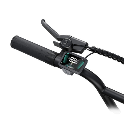 ENGWE L20 BOOST STEP THROUGH FAT TYRE CARGO ELECTRIC BIKE 250W - Charge & Glide