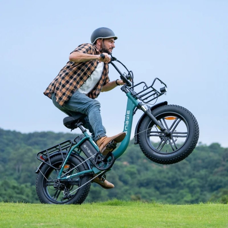 ENGWE L20 BOOST STEP THROUGH FAT TYRE CARGO ELECTRIC BIKE 250W - Charge & Glide