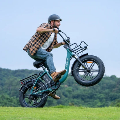 ENGWE L20 BOOST STEP THROUGH FAT TYRE CARGO ELECTRIC BIKE 250W - Charge & Glide