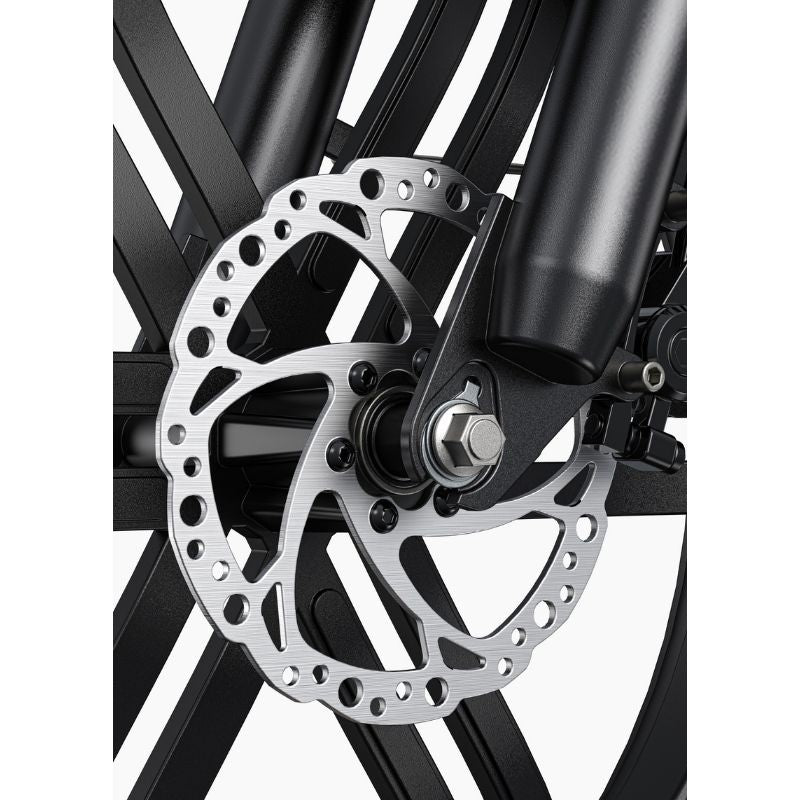 ENGWE L20 BOOST STEP THROUGH FAT TYRE CARGO ELECTRIC BIKE 250W - Charge & Glide