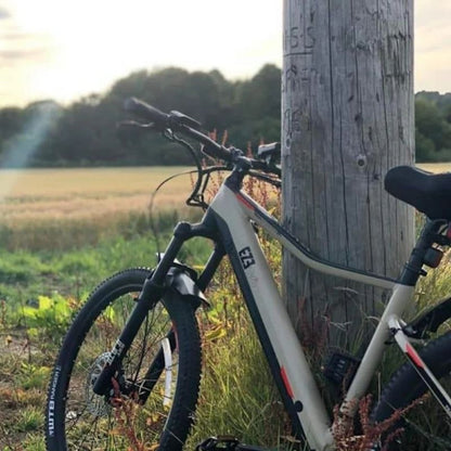 Ezego Trail Destroyer II Electric Mountain Bike - 250W