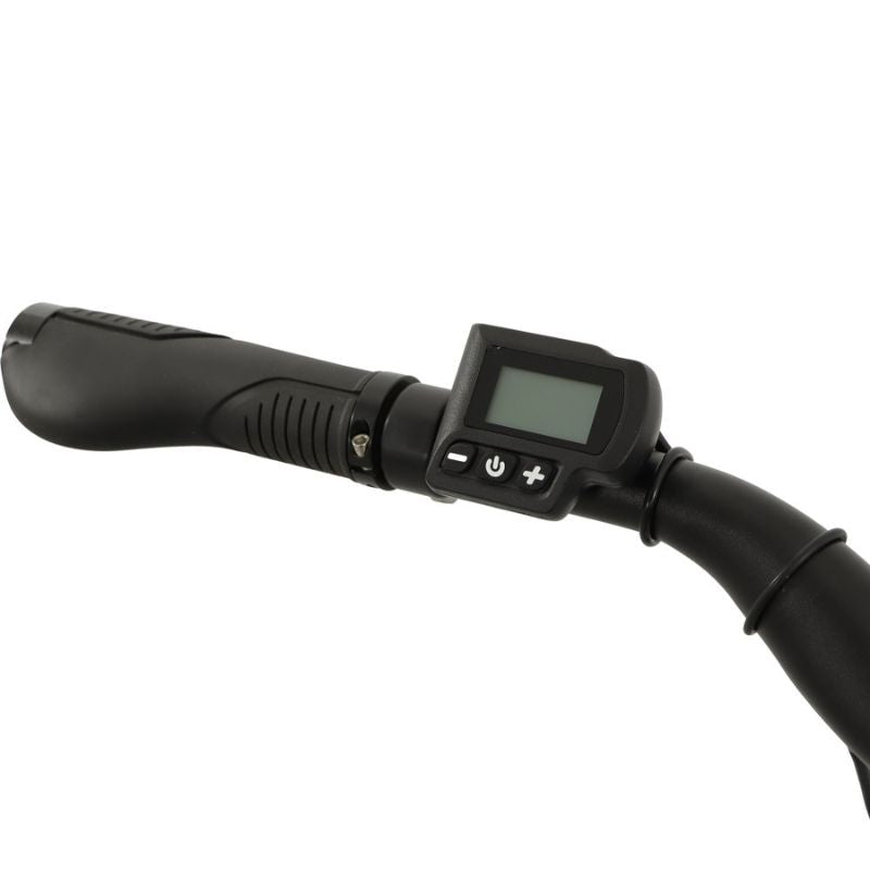 Falcon Liberty Step-Through Hybrid Electric Bike 250W - Charge & Glide