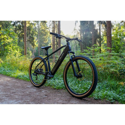 Falcon Turbine Electric Mountain Bike 250W - Charge & Glide