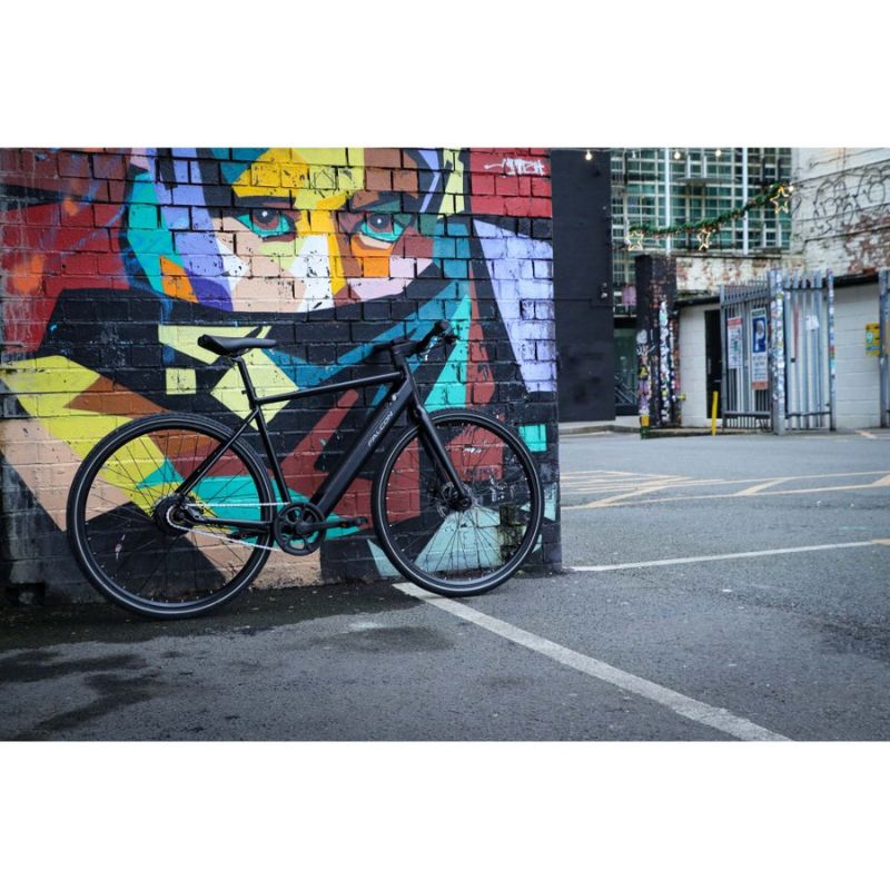 Falcon Zone Single Speed Hybrid Electric Bike 250W - Charge & Glide