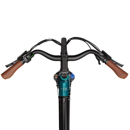 FIIDO C11 PRO STEP THROUGH CITY ELECTRIC BIKE 250W - Charge & Glide