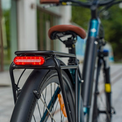 FIIDO C11 PRO STEP THROUGH CITY ELECTRIC BIKE 250W - Charge & Glide