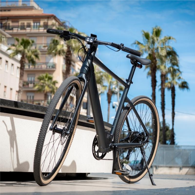 FIIDO C21 E-GRAVEL & CITY LIGHTWEIGHT ELECTRIC BIKE 250W - Charge & Glide