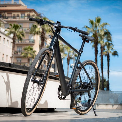 FIIDO C21 E-GRAVEL & CITY LIGHTWEIGHT ELECTRIC BIKE 250W - Charge & Glide