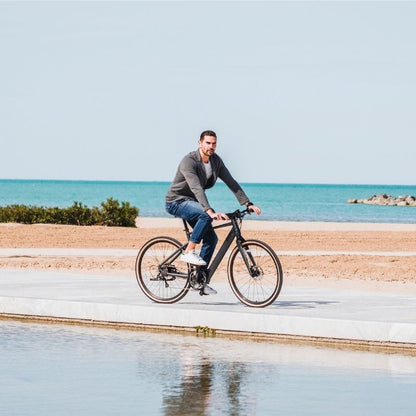 FIIDO C21 E-GRAVEL & CITY LIGHTWEIGHT ELECTRIC BIKE 250W - Charge & Glide