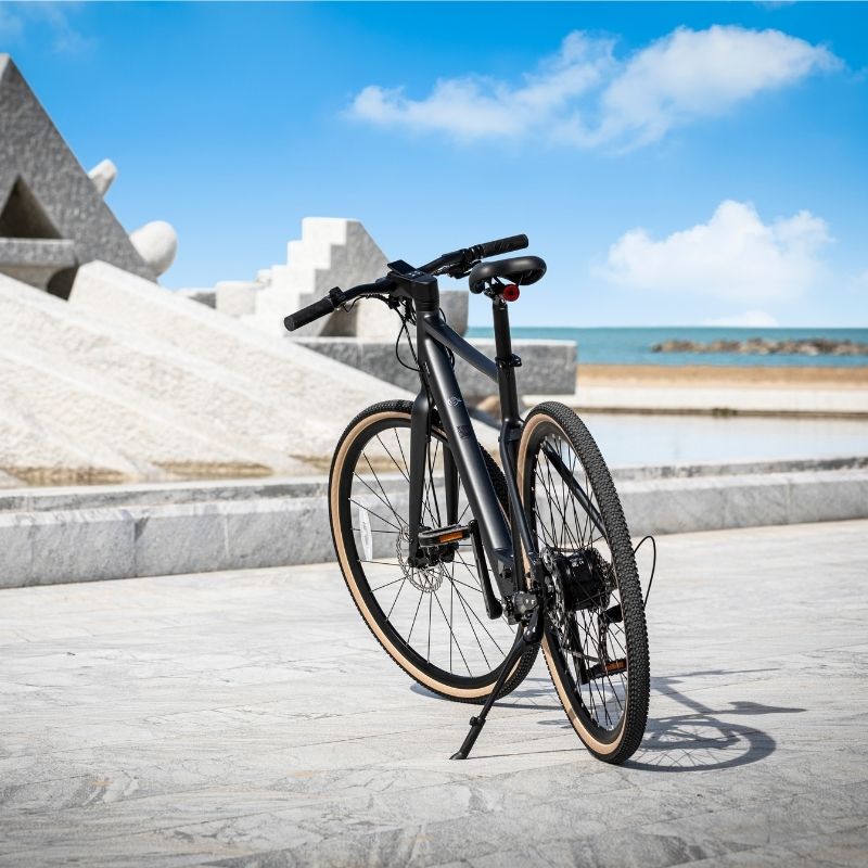 FIIDO C21 E-GRAVEL & CITY LIGHTWEIGHT ELECTRIC BIKE 250W - Charge & Glide
