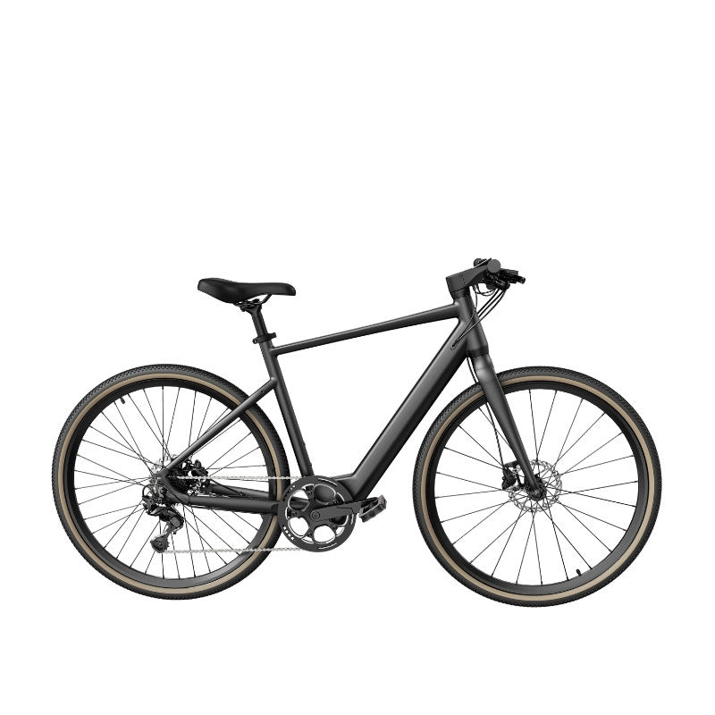 FIIDO C21 E-GRAVEL & CITY LIGHTWEIGHT ELECTRIC BIKE 250W - Charge & Glide