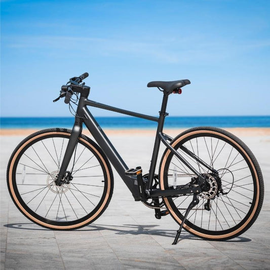 FIIDO C21 E-GRAVEL & CITY LIGHTWEIGHT ELECTRIC BIKE 250W - Charge & Glide