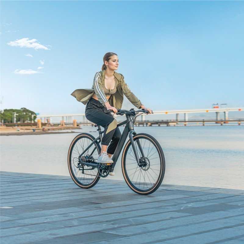 FIIDO C21 E-GRAVEL & CITY LIGHTWEIGHT ELECTRIC BIKE 250W - Charge & Glide