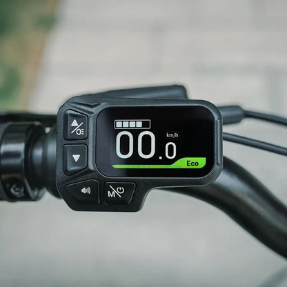 FIIDO D11 LIGHTWEIGHT FOLDING ELECTRIC BIKE 250W - Charge & Glide