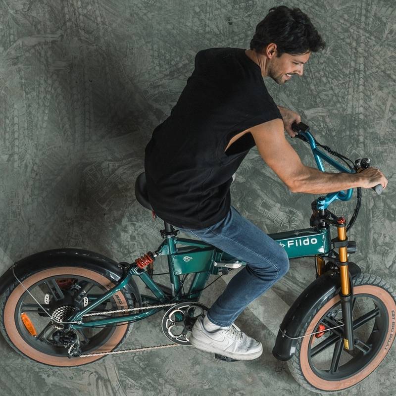 FIIDO M1 PRO FAT TYRE FOLDING ELECTRIC BIKE 250W - Charge & Glide