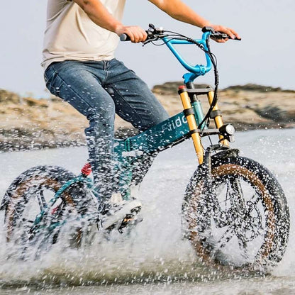 FIIDO M1 PRO FAT TYRE FOLDING ELECTRIC BIKE 250W - Charge & Glide