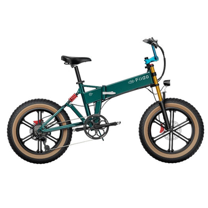 FIIDO M1 PRO FAT TYRE FOLDING ELECTRIC BIKE 250W - Charge & Glide