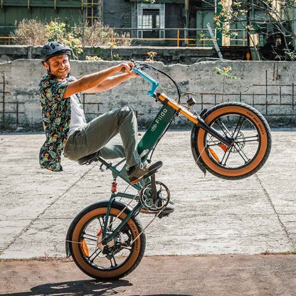 FIIDO M1 PRO FAT TYRE FOLDING ELECTRIC BIKE 250W - Charge & Glide