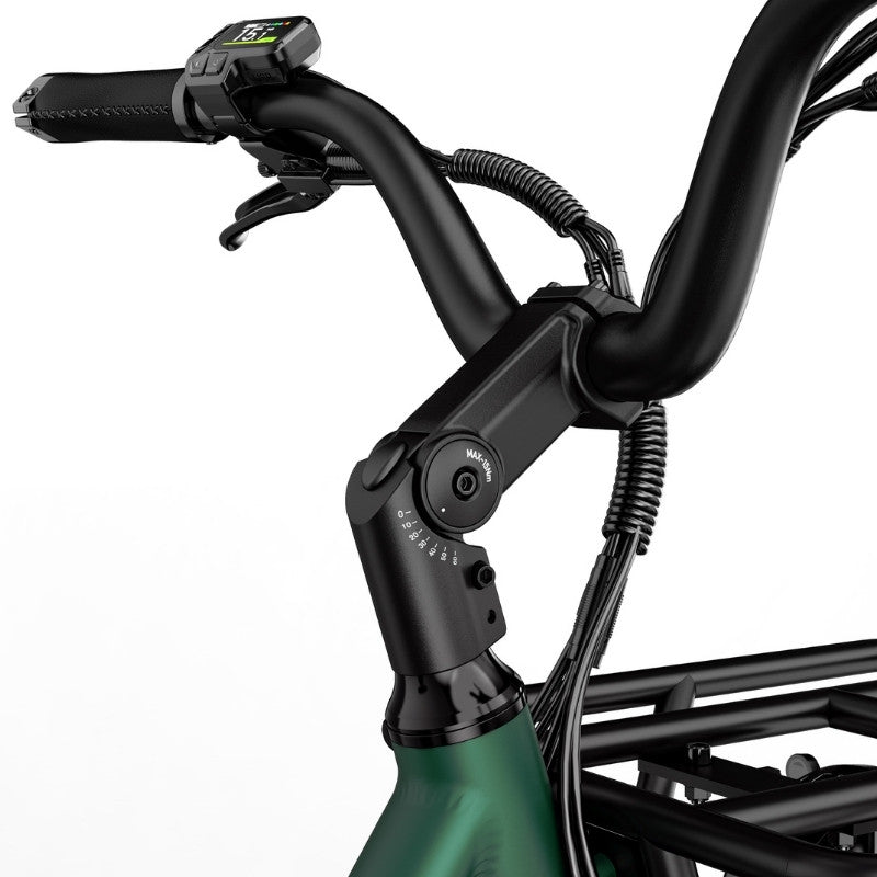FIIDO T2 LONGTAIL CARGO ELECTRIC BIKE - 250W - Charge & Glide