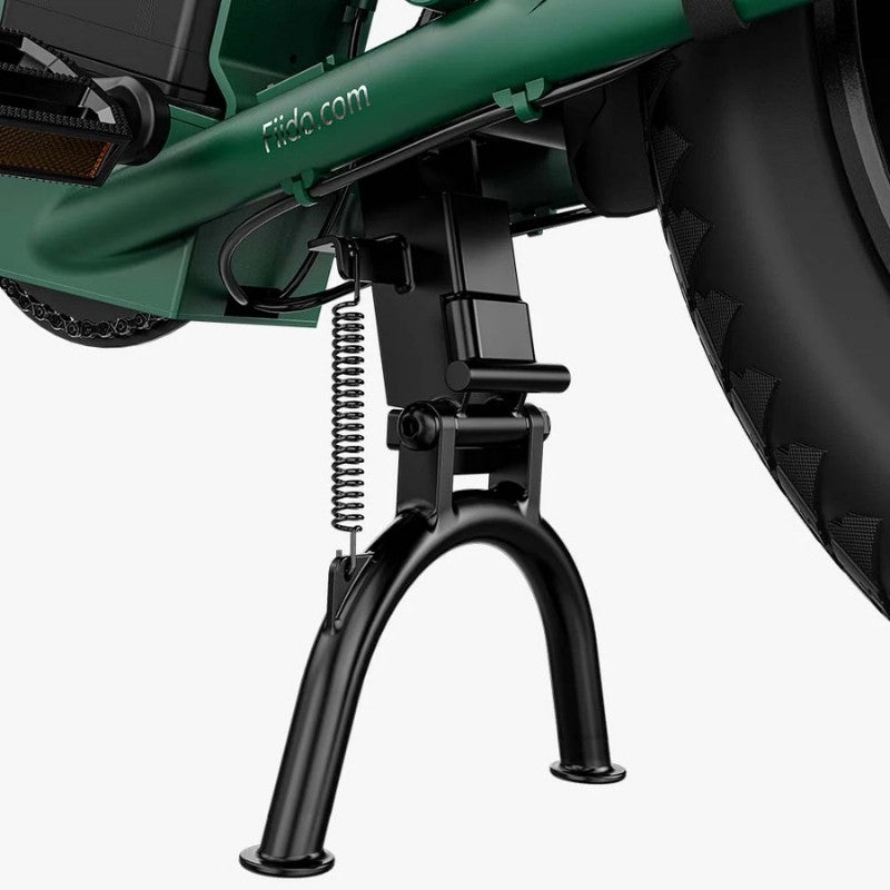 FIIDO T2 LONGTAIL CARGO ELECTRIC BIKE - 250W - Charge & Glide