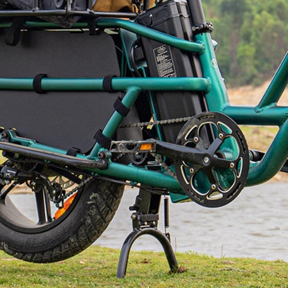 FIIDO T2 LONGTAIL CARGO ELECTRIC BIKE - 250W - Charge & Glide