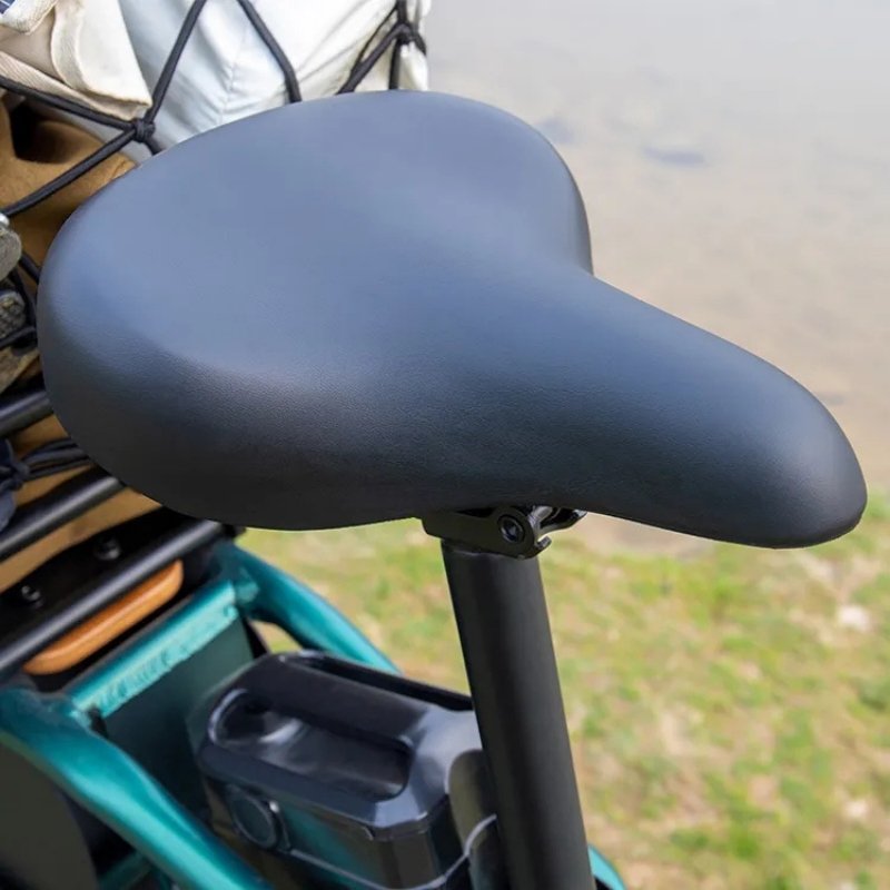 FIIDO T2 LONGTAIL CARGO ELECTRIC BIKE - 250W - Charge & Glide