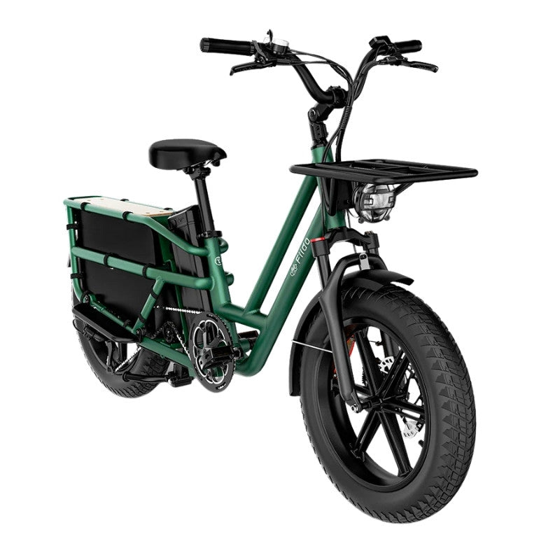 FIIDO T2 LONGTAIL CARGO ELECTRIC BIKE - 250W - Charge & Glide