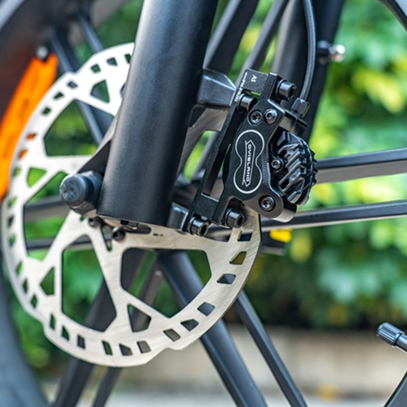FIIDO T2 LONGTAIL CARGO ELECTRIC BIKE - 250W - Charge & Glide