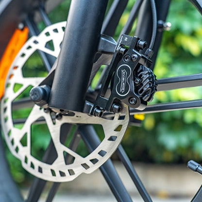 FIIDO T2 LONGTAIL CARGO ELECTRIC BIKE - 250W - Charge & Glide