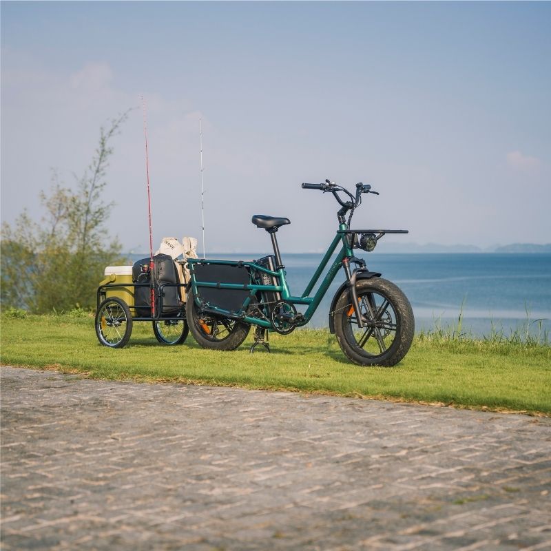 FIIDO T2 LONGTAIL CARGO ELECTRIC BIKE - 250W - Charge & Glide
