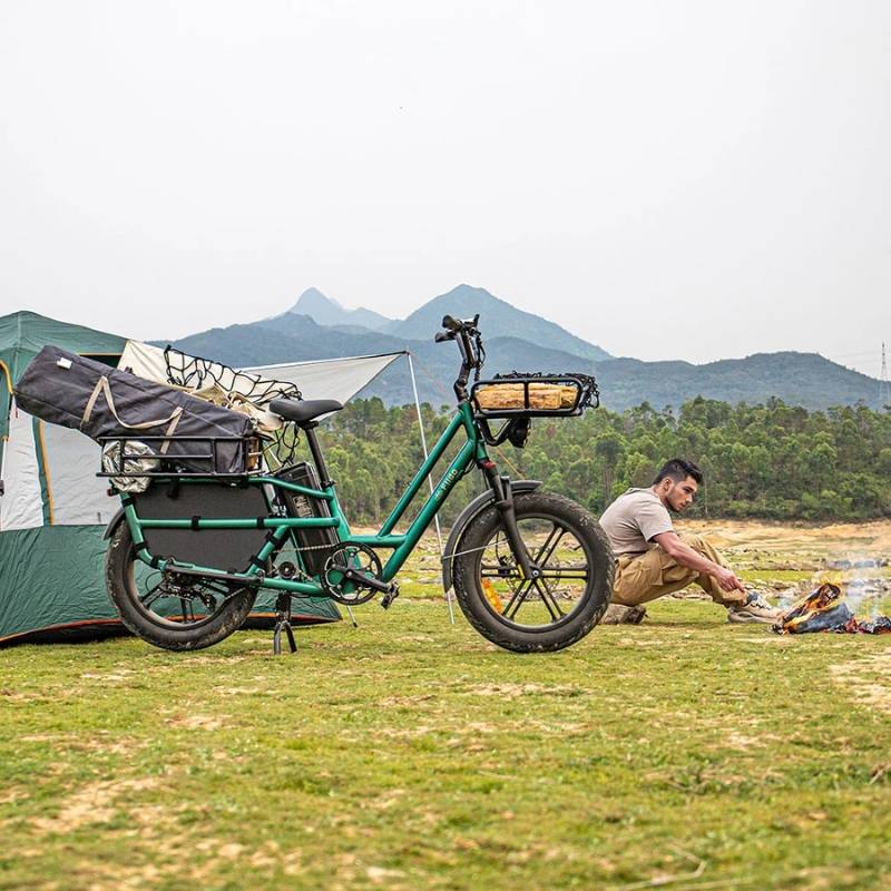 FIIDO T2 LONGTAIL CARGO ELECTRIC BIKE - 250W - Charge & Glide