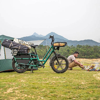 FIIDO T2 LONGTAIL CARGO ELECTRIC BIKE - 250W - Charge & Glide