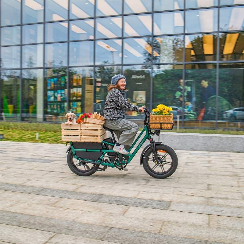 FIIDO T2 LONGTAIL CARGO ELECTRIC BIKE - 250W - Charge & Glide