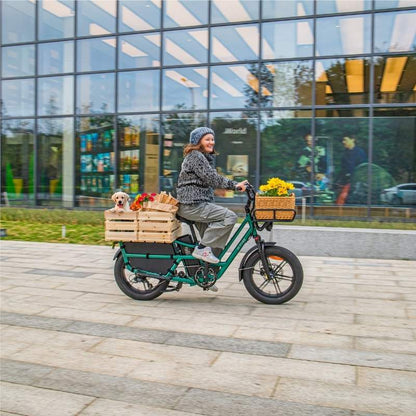 FIIDO T2 LONGTAIL CARGO ELECTRIC BIKE - 250W - Charge & Glide
