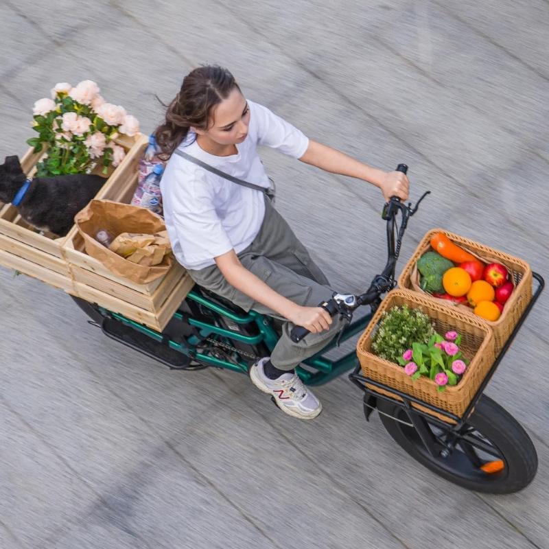 FIIDO T2 LONGTAIL CARGO ELECTRIC BIKE - 250W - Charge & Glide
