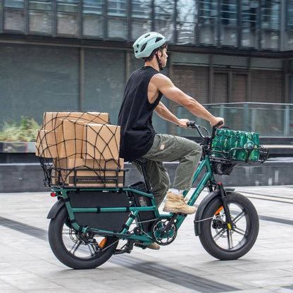FIIDO T2 LONGTAIL CARGO ELECTRIC BIKE - 250W - Charge & Glide