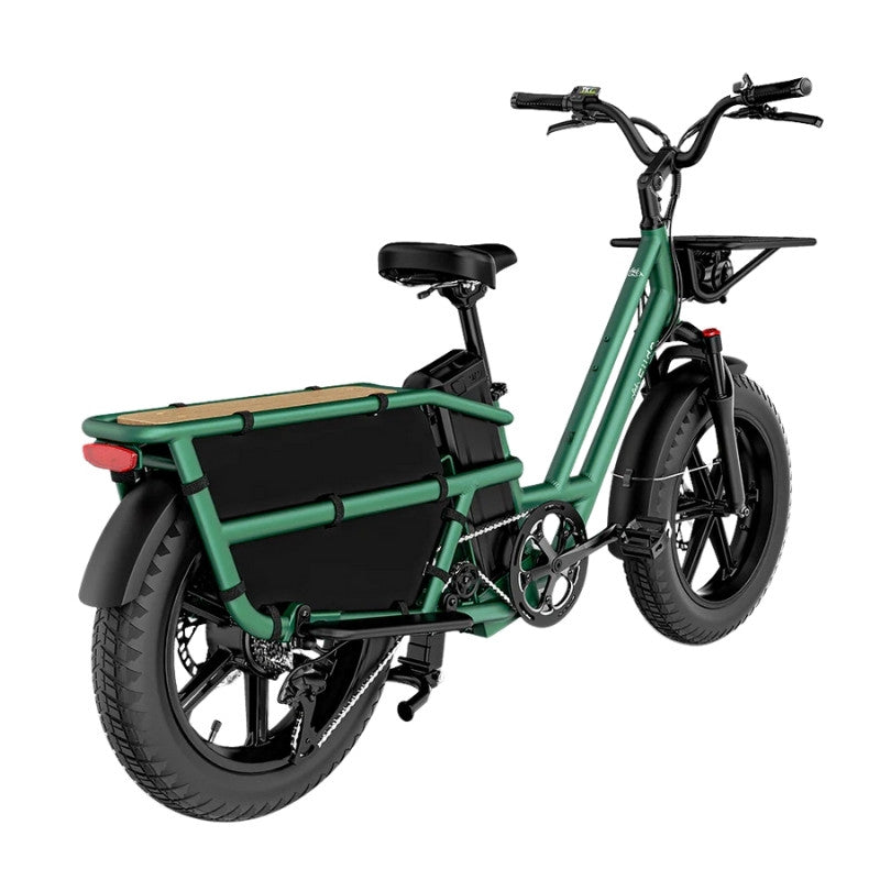 FIIDO T2 LONGTAIL CARGO ELECTRIC BIKE - 250W - Charge & Glide