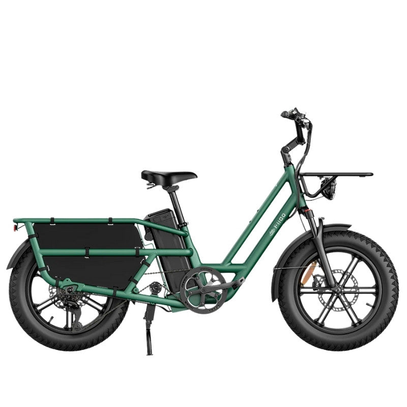 FIIDO T2 LONGTAIL CARGO ELECTRIC BIKE - 250W - Charge & Glide