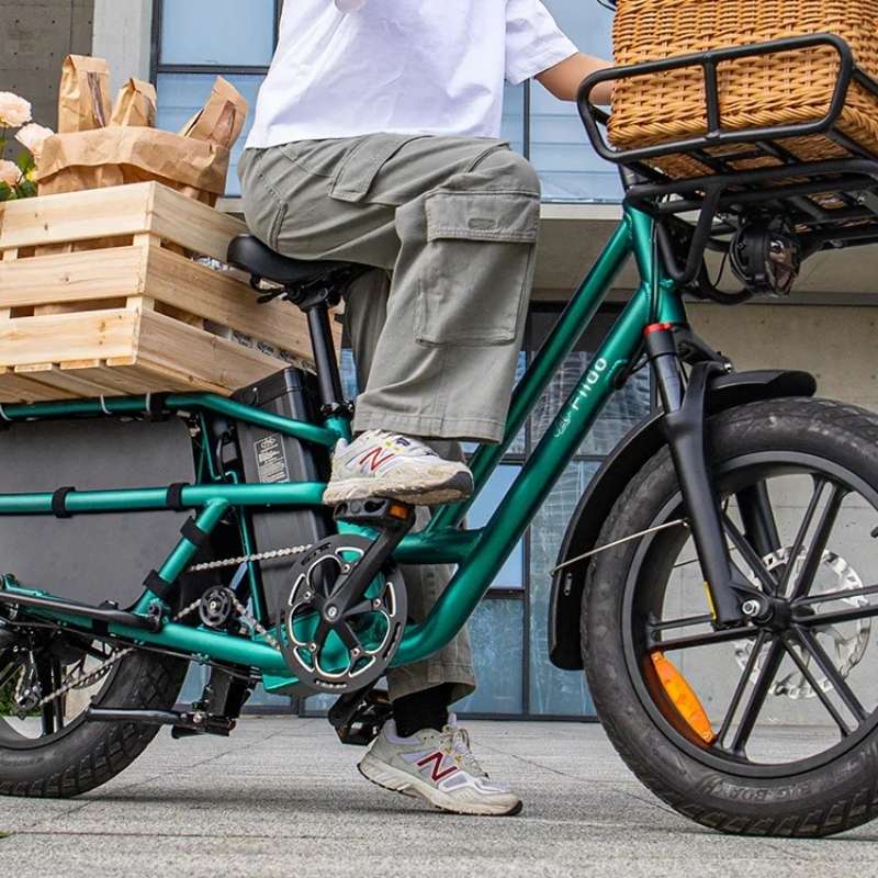 FIIDO T2 LONGTAIL CARGO ELECTRIC BIKE - 250W - Charge & Glide