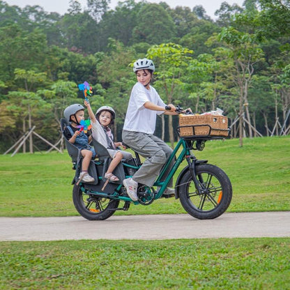 FIIDO T2 LONGTAIL CARGO ELECTRIC BIKE - 250W - Charge & Glide