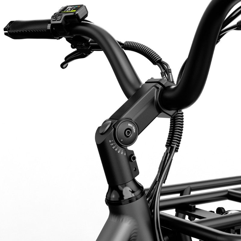FIIDO T2 LONGTAIL CARGO ELECTRIC BIKE - 250W - Charge & Glide