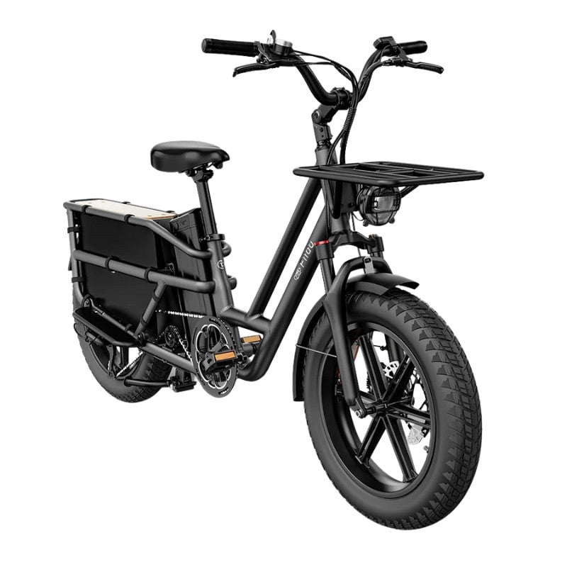 FIIDO T2 LONGTAIL CARGO ELECTRIC BIKE - 250W - Charge & Glide