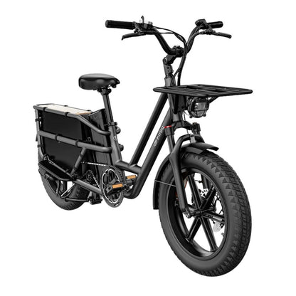 FIIDO T2 LONGTAIL CARGO ELECTRIC BIKE - 250W - Charge & Glide