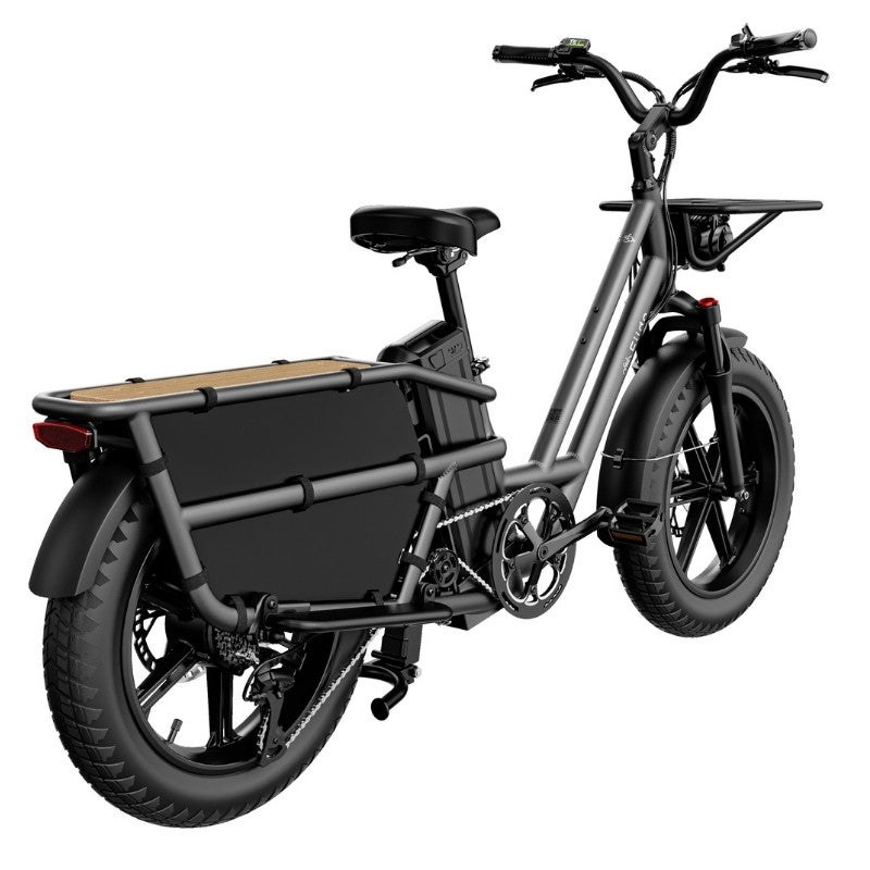 FIIDO T2 LONGTAIL CARGO ELECTRIC BIKE - 250W - Charge & Glide