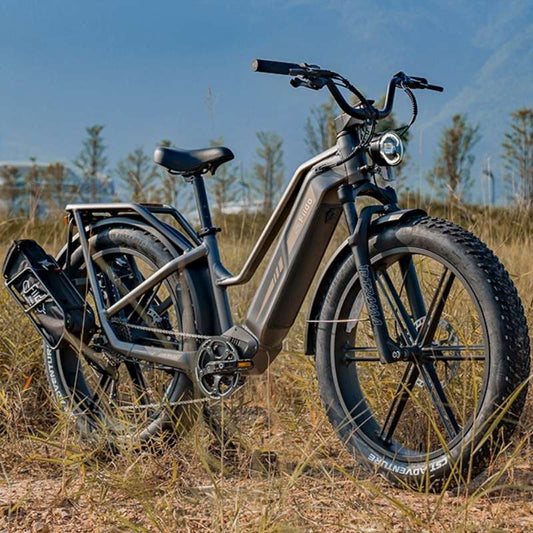 FIIDO TITAN FAT TYRE TOURING LONG RANGE ELECTRIC BIKE 250W - Charge & Glide