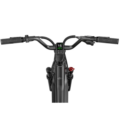 FIIDO TITAN FAT-TYRE TOURING LONG-RANGE ELECTRIC BIKE - 250W - Charge & Glide