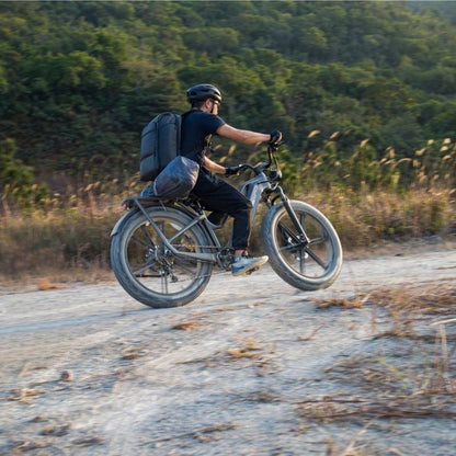 FIIDO TITAN FAT-TYRE TOURING LONG-RANGE ELECTRIC BIKE - 250W - Charge & Glide